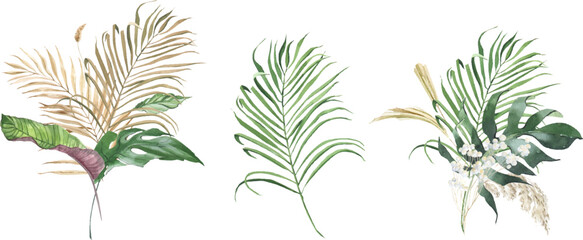 Tropical jungle watercolor vector greenery bouquets. monstera and palm leaves. dried tropical leaves, Summer tropical, Perfect for wedding invitations, prints, postcards, posters. 