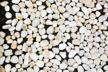 pedras brancas de jardim 