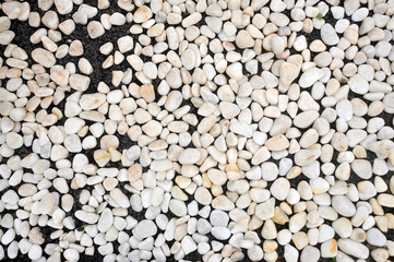 pedras brancas de jardim 