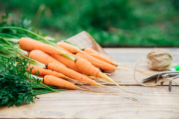 Fresh carrots on a wooden background. Garden tools. Rake and shovel. Vegetables and root vegetables...