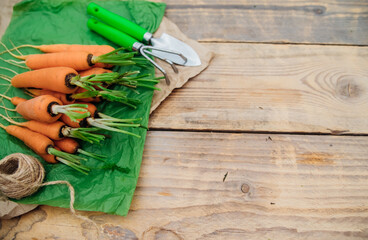 Fresh carrots on a wooden background. Garden tools. Rake and shovel. Vegetables and root vegetables...