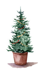 Green pine, spruce, christmas tree in pot, holiday decoration concept, hand drawn watercolor illustration isolated on white background for postcards
