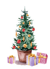 Green pine, spruce, christmas tree in pot, holiday decoration concept, hand drawn watercolor illustration isolated on white background for postcards