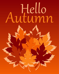 Autumn postcard. Vector illustration of autumn maple leaves. Orange, yellow and red leaves. Hello Autumn. Background of poster