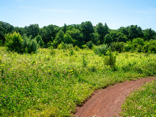 Fototapeta na wymiar hiking trail on a sunny spring day in the park