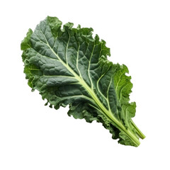 Green kale leaves isolated