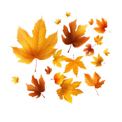 Autumn falling leaves isolated