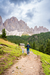 Fototapeta premium Tourists walking in alpine forest on summer day. Hikers traveler hikking with beautiful forest landscape, Dolomites, Italy