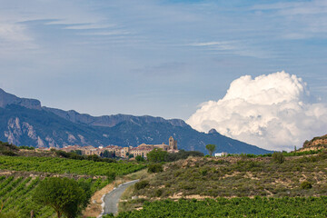 View of Laguardia between vineyards at sunset with Sierra Cantabria in the background