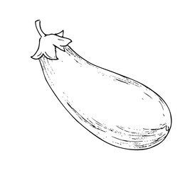 Eggplant graphic drawing isolated on white background for menu and design