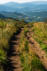 Trekking trial trough wilderness and scenic nature at summer in Bieszczady Mountains, Carpathians, Poland.