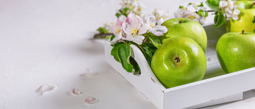 Fresh green apples with blossoming apple branch. Rural still life with green fruits, selective focus. Closeup with copy space for text