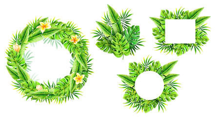 Set of tropical leaves composition. Illustration isolated. Hand drawn palm leaf, Plumeria flowers for posters, covers, your design.