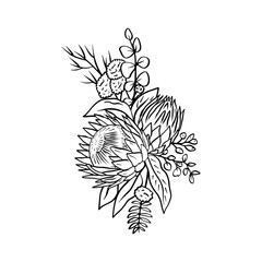 Monochrome tropical protea flowers and leaves bouquet. Boho floral composition