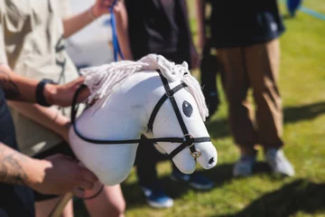  Hobby horsing competition on a green grass, hobby horse riders jumping, equestrian sport training with stick toy horses in a summer sunny day, equipment for hobbihorsing © tsuguliev