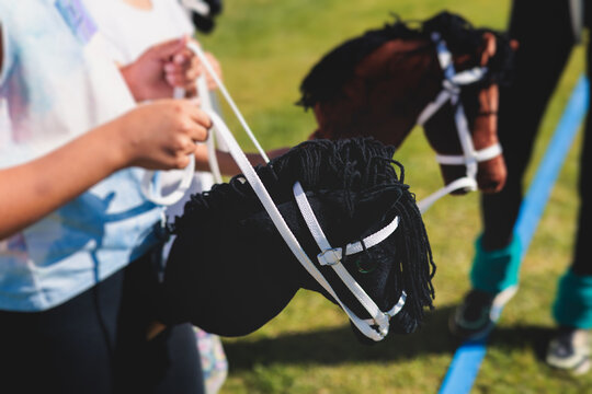 A hobby best sale horse