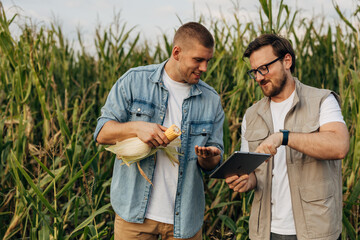 Front view of two people doing tests on a corn crop in the field.