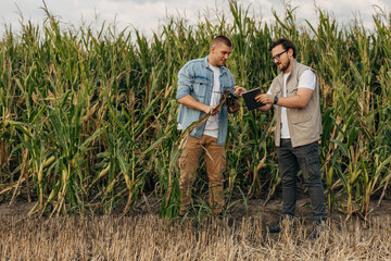 Front view of two Caucasian man in the farm checking roots on a plant.
