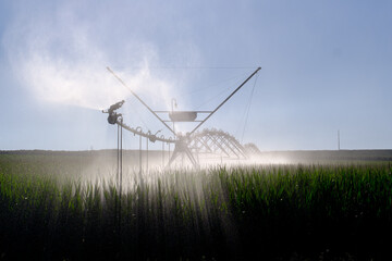 Irrigation on a Corn Field, Portugal 2023
