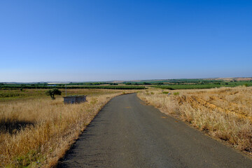 Fototapeta na wymiar Alentejo landscape, Portugal 2023
