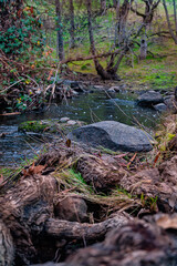 By the Creek
