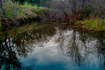 Creek in the field