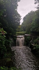 Obraz premium Jesmond Dene Falls, Newcastle