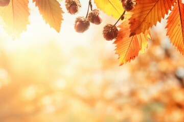 Naklejka na ściany i meble autumn colored chestnut leaf branch frame on bright blur background