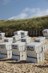 Strandkörbe und im Hintergrund die Dünen auf der Insel Sylt 