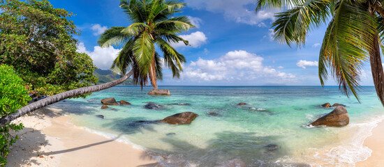 Panorama of beautiful beach with coconut palms in tropical island, Seychelles. Summer vacation and tropical beach concept. - obrazy, fototapety, plakaty