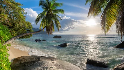 Fotobehang Panoramic view of beautiful beach at sunset with coconut palm tree, sea and beautiful rocks, Beau Vallon beach, Mahe island, Seychelles. © lucky-photo