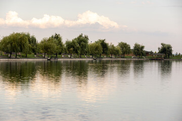 Green summer landscape in rural Romania