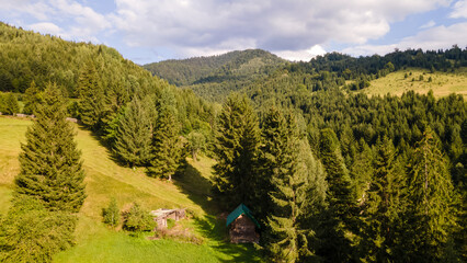 Green summer landscape in rural Romania
