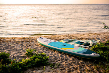 sup paddle board on the lake coast