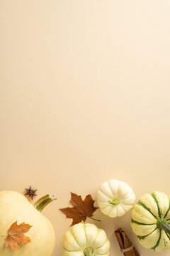 Capture spirit of autumn's bounty with this vertical elevated composition. Arrangement of mature pumpkins and quintessential fall attributes on a neutral beige backdrop, leaving space for text or ads