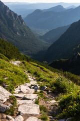Fototapeta na wymiar Alpine trail in Tatra Mountains, Poland at summer. Scenic landscape and nature