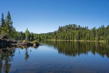Scenic view of a lake, blue sky and pine forest reflected in water