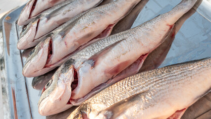 Fresh sea bream fish from the Aegean Sea on a tray in the restaurant is waiting to be cooked. Gokceada, Imbros island, Canakkale
