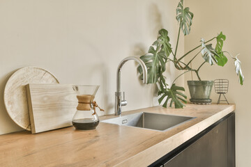 a plant in a pot on a kitchen counter with a wooden cutting board next to it and a metal sink