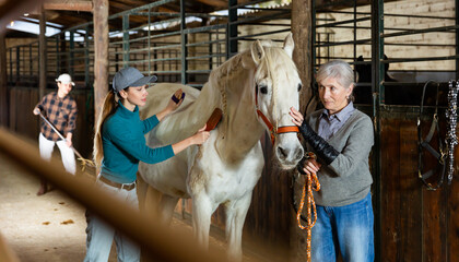 Positive young and aged women workers grooming white racehorse in stable, brushing after riding....