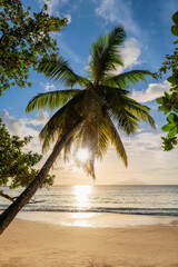 Sunset beach with palm trees and beautiful ocean in paradise island/