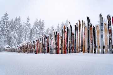 fence made out of ski in the snow