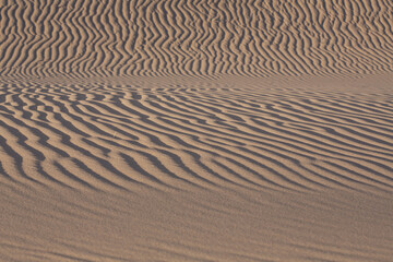 Intricate and well-defined patterns of light and shadow produced by waves in the sand at the Algodones Sand Dunes in Southern California