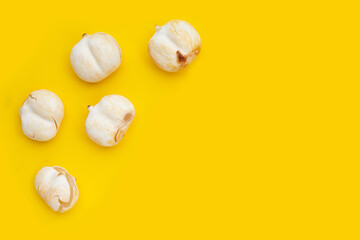 Toddy palm on yellow background.