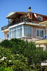 Fassade einer Villa mit Dachterrasse in hellen Pastellfarben mit grünem Baum im Sommer bei blauem...