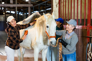 Senior and younger European women and Asian woman horsebreeders grooming white horse in stable.