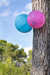 Two paper lanterns, one blue, one pink, in a tree for a boho celebration in a pines forest. Sunny day with clouds.