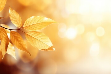 closeup of beautiful fall leaves on golden abstract background