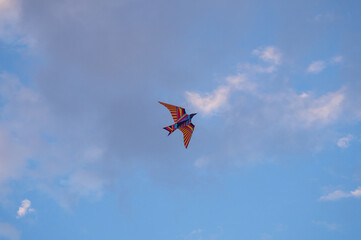  Kite Festival. Kites in the sky. A spectacle . Wind is like a force. air objects. Various forms. A beautiful sight.  Aerodynamics. Object in the sky