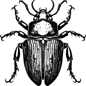 Skarab&auml;us, Mistk&auml;fer-Silhouette